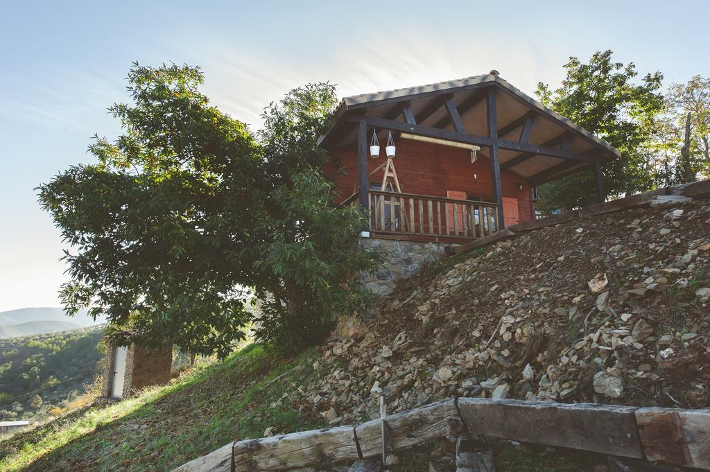 La Brizna Cañamero Quarto foto