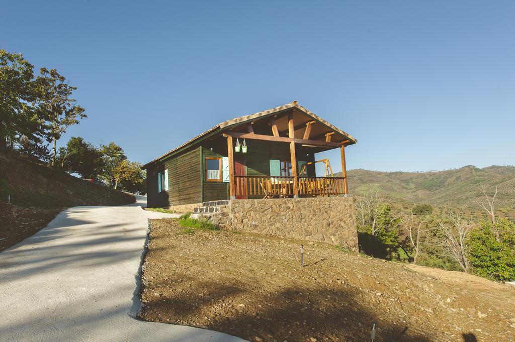 La Brizna Cañamero Quarto foto
