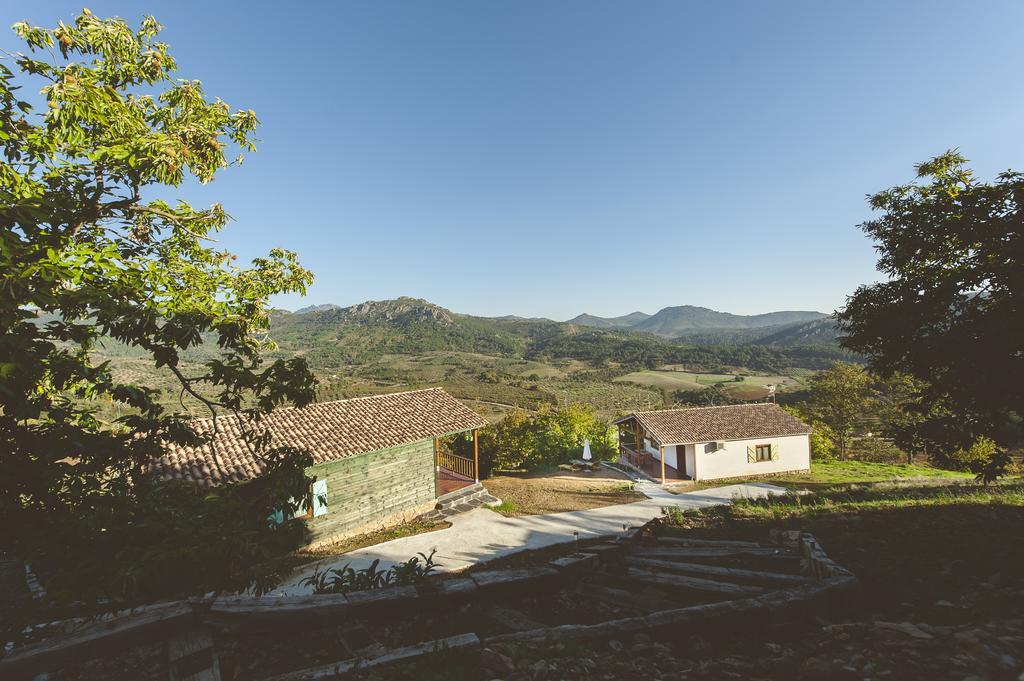 La Brizna Cañamero Quarto foto
