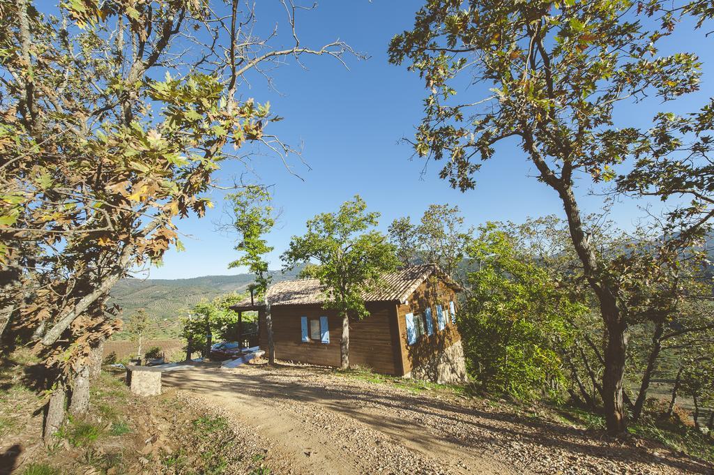 La Brizna Cañamero Quarto foto