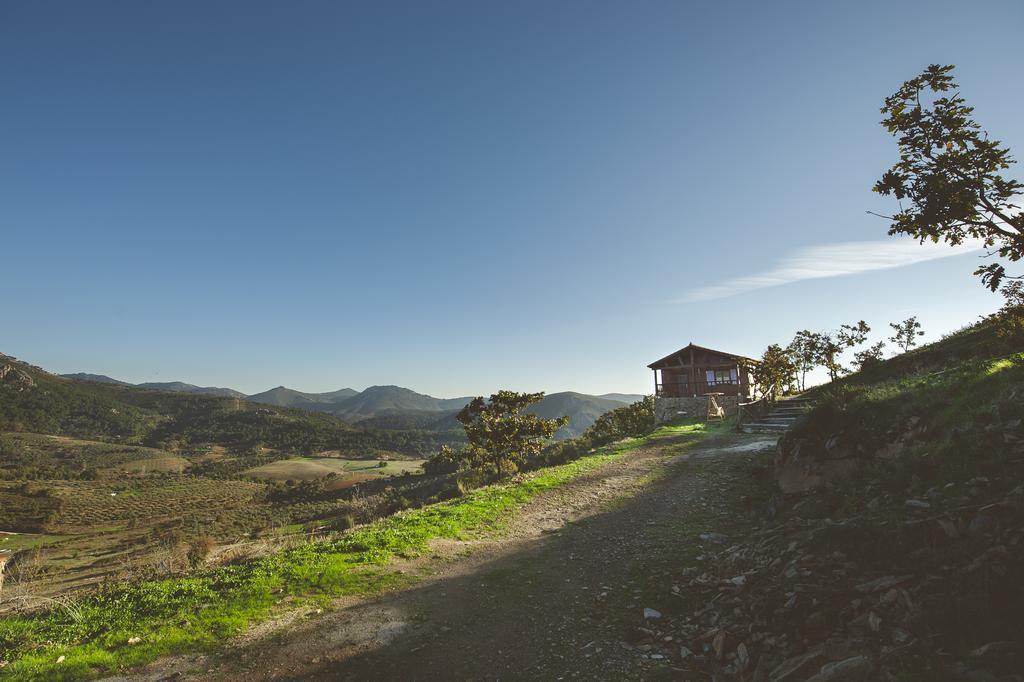 La Brizna Cañamero Quarto foto