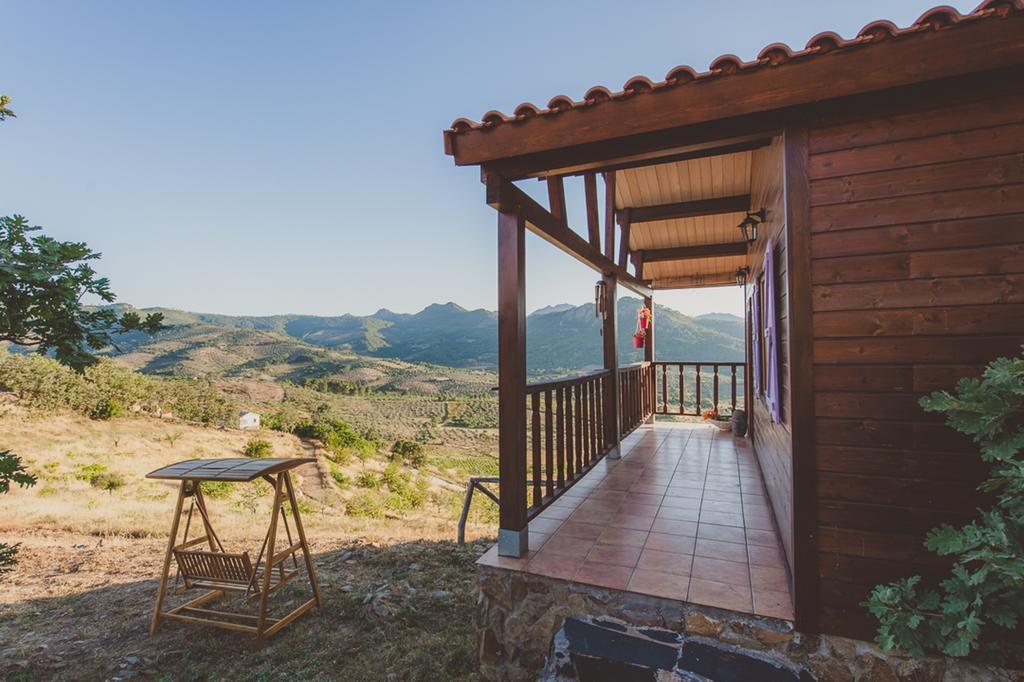 La Brizna Cañamero Quarto foto